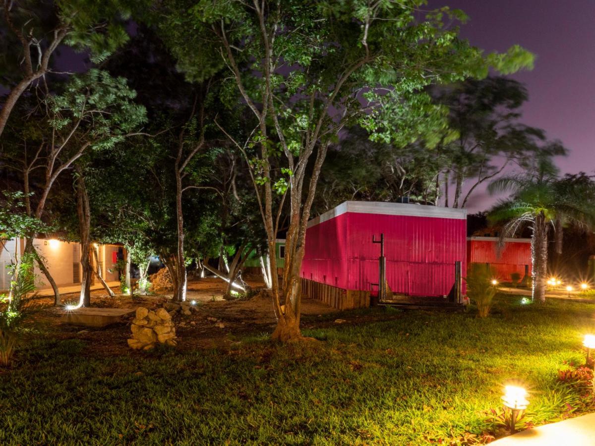 Albergue Colorbox Beds And Tulum